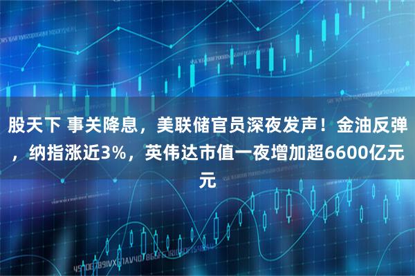 股天下 事关降息，美联储官员深夜发声！金油反弹，纳指涨近3%，英伟达市值一夜增加超6600亿元