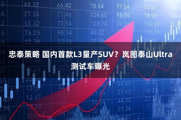 忠泰策略 国内首款L3量产SUV？岚图泰山Ultra测试车曝光
