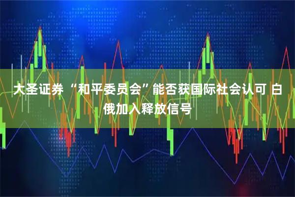 大圣证券 “和平委员会”能否获国际社会认可 白俄加入释放信号