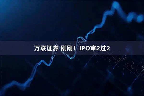 万联证券 刚刚！IPO审2过2